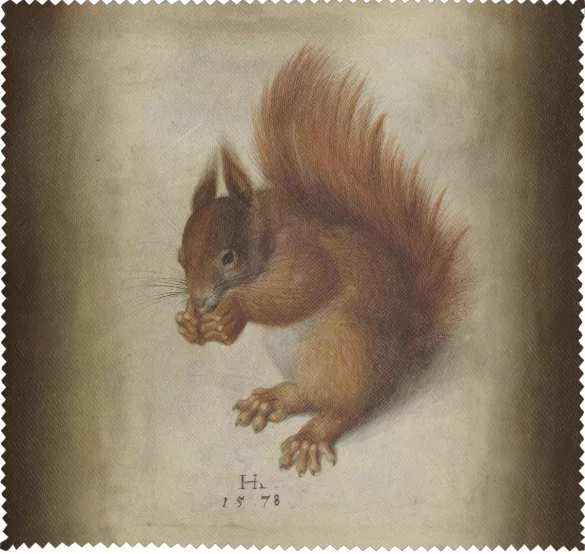 Ściereczka do okularów Czerwona wiewiórka Hans Hoffmann