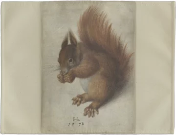 Podkładka na stół Czerwona wiewiórka Hans Hoffmann