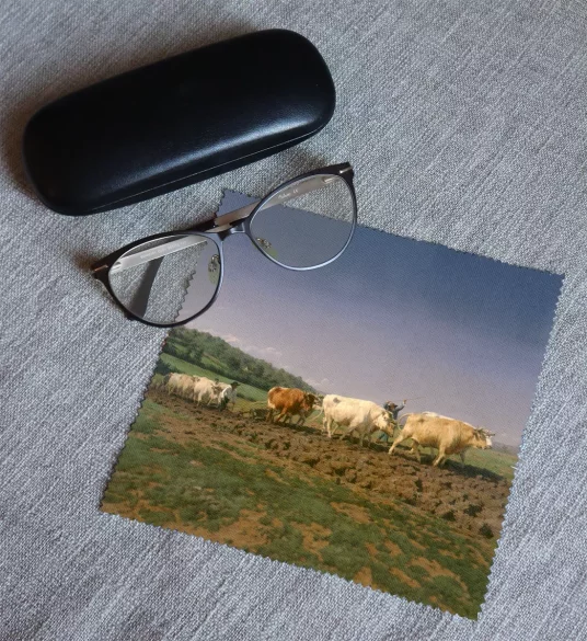 Ściereczka do okularów Orka w Nivernais Rosa Bonheur