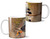 Concave casque Hornbill