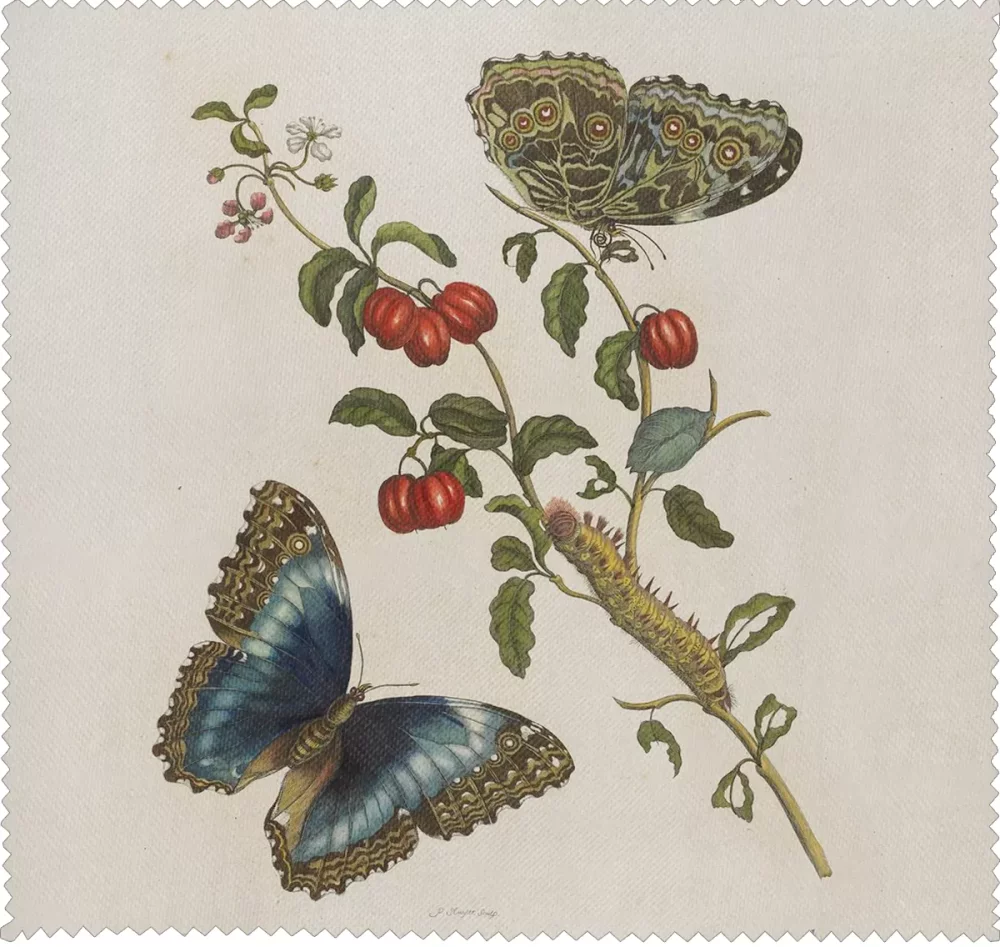 Ściereczka do okularów Great Blue Butterflies and Red Fruits Maria Sibylla Merian
