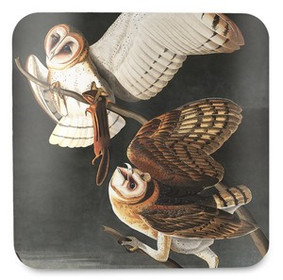 Podkładka pod kubek Barn Owl, Tyto Alba James Audubon