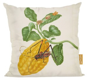 Poduszka Cytryna z gąsienicą małpy i chrząszczem harlekin Maria Sibylla Merian