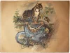 The Clouded Tiger