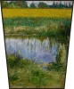 Pole łubinu