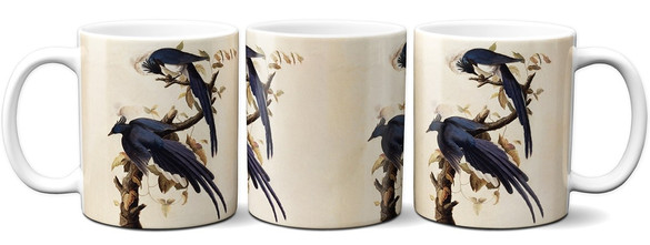 Kubek Magpie Jay James Audubon