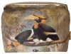 Concave casque Hornbill