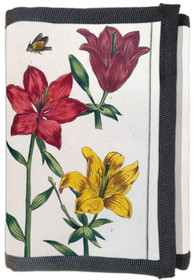 Portfel Lilia czerwona Maria Sibylla Merian