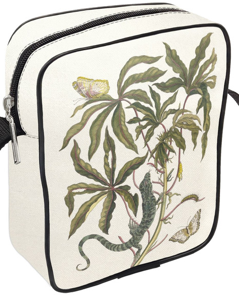 Listonoszka Cassave Maria Sibylla Merian