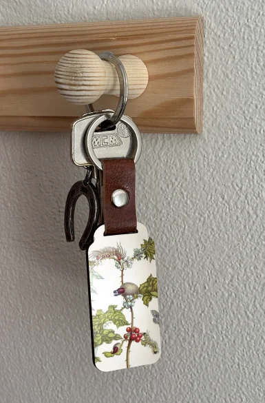 Brelok Metamorfoza owadów Surinamensium Maria Sibylla Merian