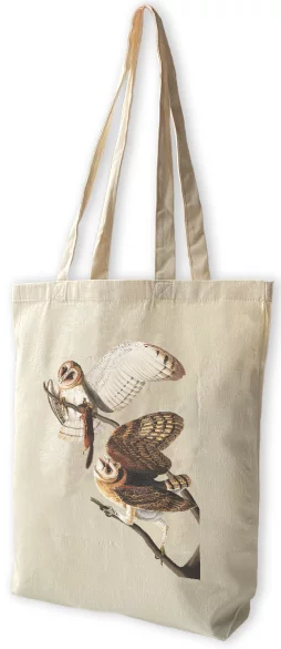 Torba bawełniana Barn Owl, Tyto Alba James Audubon