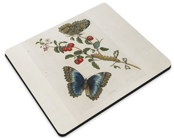 Podkładka Great Blue Butterflies and Red Fruits Maria Sibylla Merian 36x29cm