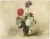 Peonie