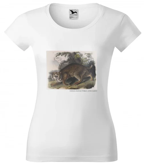 Bluzka damska Common American Wildcat James Audubon
