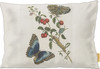 Great Blue Butterflies and Red Fruits