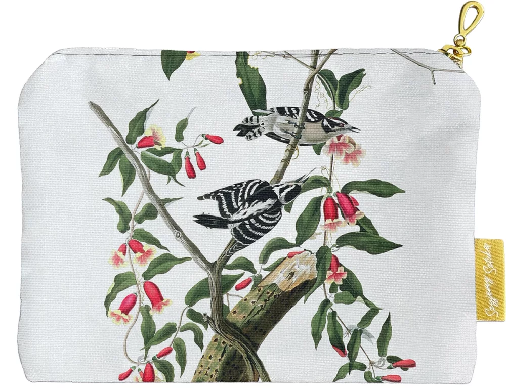 Kosmetyczka mini Downy Woodpecker James Audubon