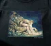 Koszulka z nadrukiem Newton William Blake