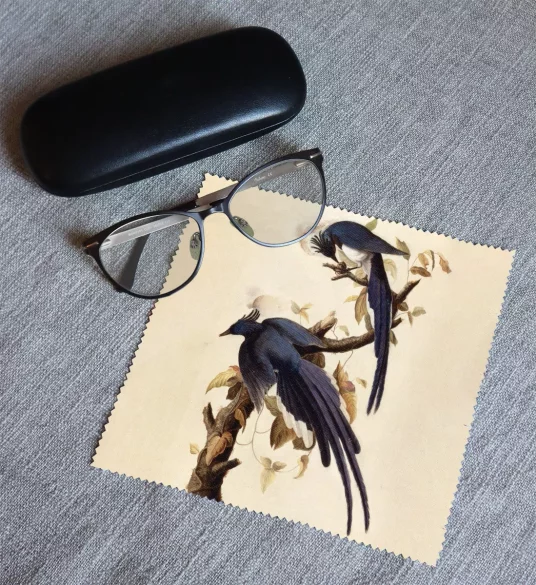 Ściereczka do okularów Magpie Jay James Audubon