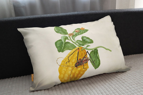 Poduszka Cytryna z gąsienicą małpy i chrząszczem harlekin Maria Sibylla Merian