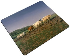 Podkładka Orka w Nivernais Rosa Bonheur 24x19cm