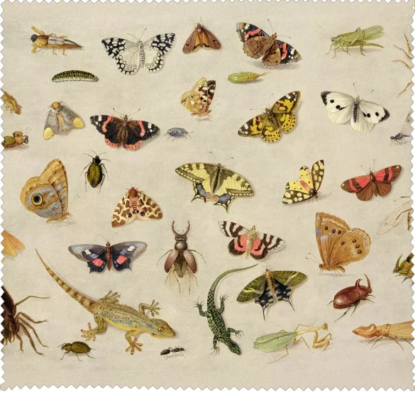 Ściereczka do okularów Studium owadów Jan van Kessel (starszy) 