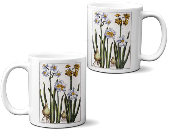 Kubek Narcyz Maria Sibylla Merian