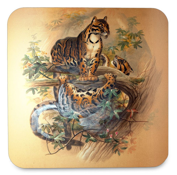 Podkładka pod kubek The Clouded Tiger Joseph Wolf