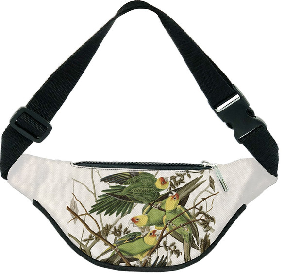 Nerka Carolina Parakeet James Audubon