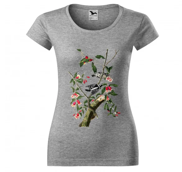 Bluzka damska Downy Woodpecker James Audubon