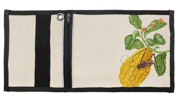 Portfel Cytryna z gąsienicą małpy i chrząszczem harlekin Maria Sibylla Merian