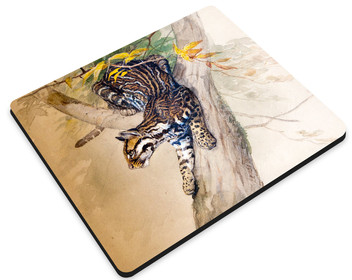 Podkładka Ocelot Joseph Wolf 36x29cm