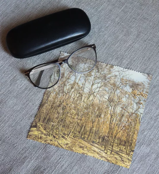 Ściereczka do okularów Der Buchenwald Ferdinand Hodler