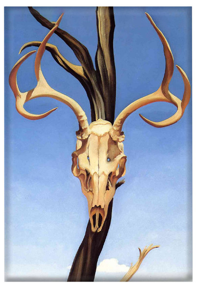 Magnes Czaszka jelenia Georgia O’Keeffe