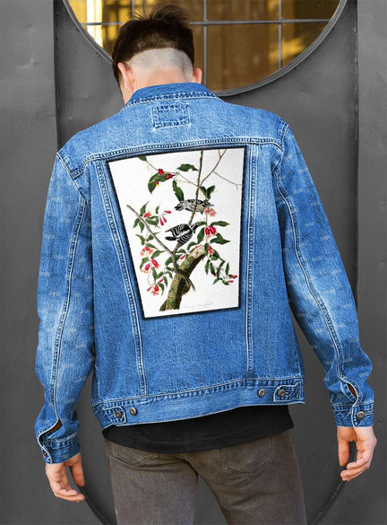 Ekran Downy Woodpecker  James Audubon