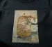 Koszulka z nadrukiem Klatka Berthe Morisot
