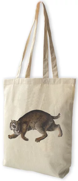 Torba bawełniana Common American Wildcat James Audubon