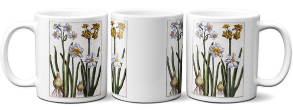 Kubek Narcyz Maria Sibylla Merian