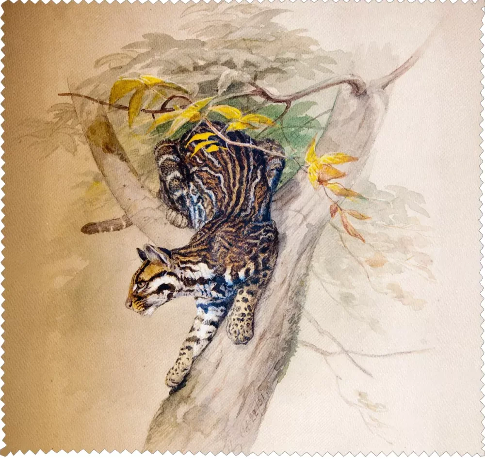 Ściereczka do okularów Ocelot Joseph Wolf