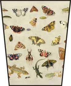 Ekran Studium owadów Jan van Kessel (starszy)