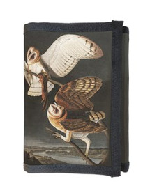 Portfel Barn Owl, Tyto Alba James Audubon