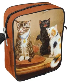 Torba Listonoszka Prawa kobiet - spotkanie William Henry Hamilton Trood