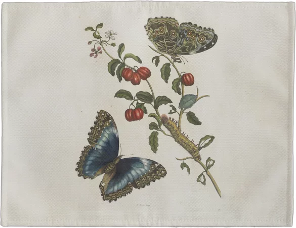 Podkładka na stół Great Blue Butterflies and Red Fruits Maria Sibylla Merian