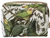Carolina Parakeet