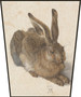 Ekran Młody zając Albrecht Dürer