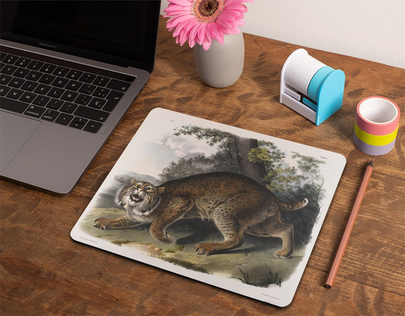 Podkładka Common American Wildcat James Audubon 36x29cm