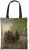Wiosna 1905