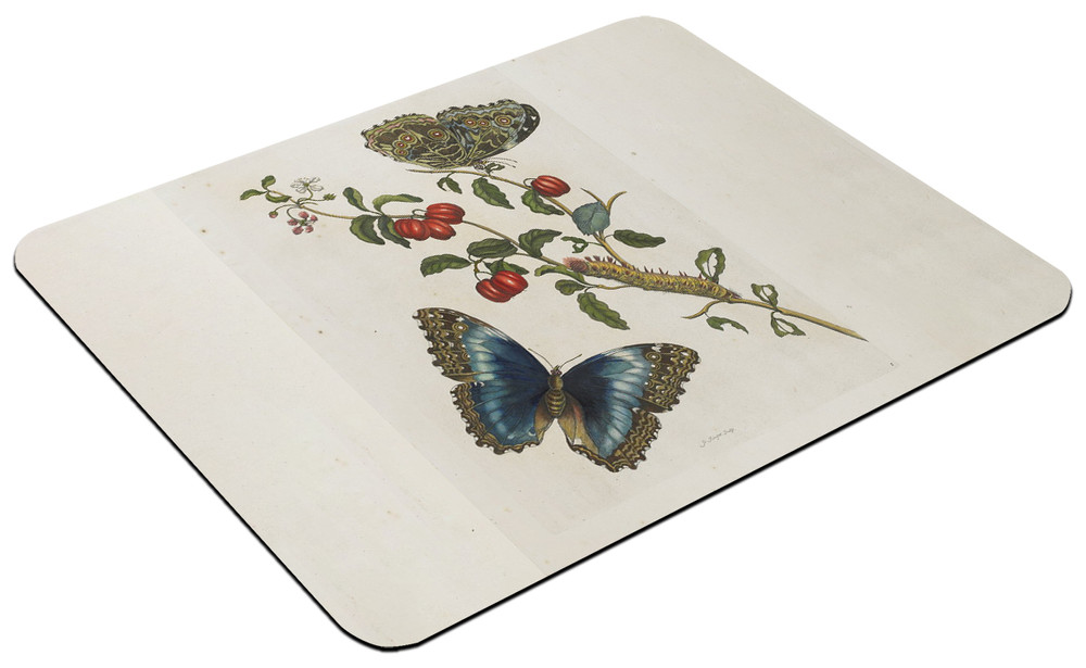 Podkładka Great Blue Butterflies and Red Fruits Maria Sibylla Merian 60x40cm