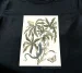 Bluzka damska Cassave Maria Sibylla Merian