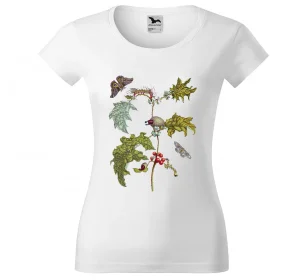 Bluzka damska Metamorfoza owadów Surinamensium Maria Sibylla Merian