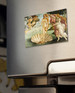 Magnes Narodziny Wenus Sandro Botticelli